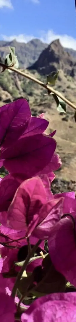 Flora und Bergwelt der Kapverden